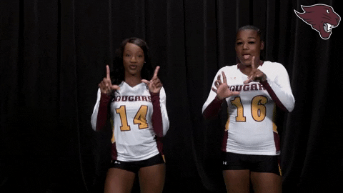Stunt GIF by CUCougars