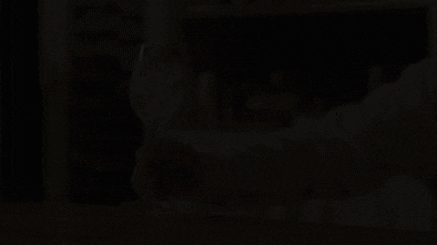 KarasWines giphygifmaker GIF