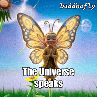 Flower Sun GIF by BuddhaFlyJourney