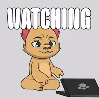 Computer Working GIF by Kabu
