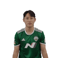 jeonbuk1994 하트 jeonbuk 전북현대 전북 Sticker