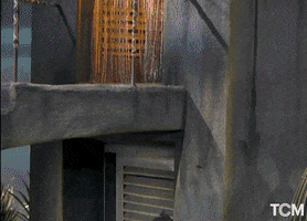 Gene Kelly Dance GIF by Turner Classic Movies