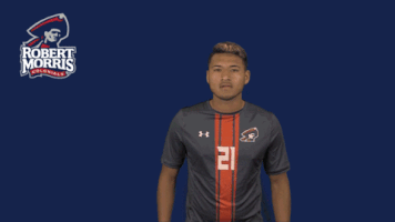 rmuathletics rmu robert morris robert morris university GIF