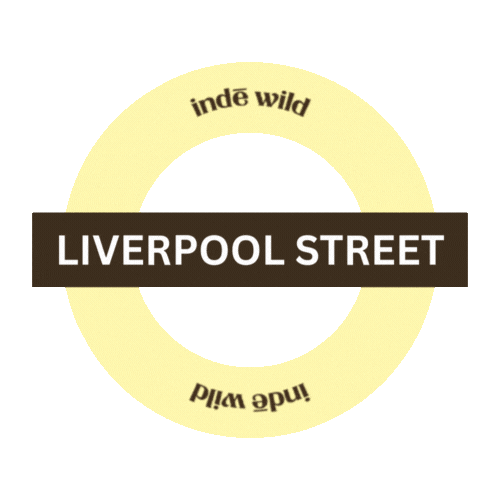 I Spy Inde Wild Sticker by indewild