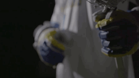 GIF by Delaware Blue Hens