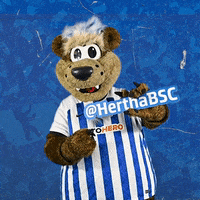 Bundesliga Berlin GIF by Hertha BSC