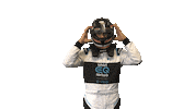 Formula E Celebration Sticker by smart e-cup