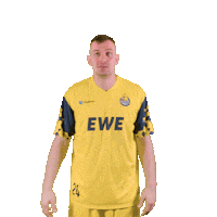 swipe up game on Sticker by easyCredit Basketball Bundesliga