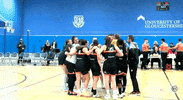 British Basketball Win GIF by Hoopsfix