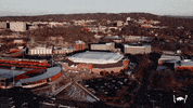 Ncaa Basketball Hogs GIF by Arkansas Razorbacks
