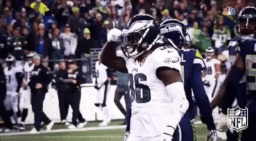 philadelphia eagles football GIF by NFL