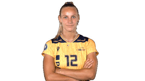 Schwerin Sscpalmbergschwerin Sticker by Volleyball Bundesliga