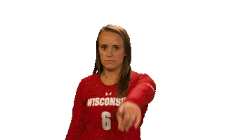College Sports Sport Sticker by Wisconsin Badgers