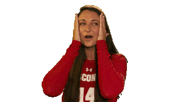 Wisconsin Volleyball Omg Sticker by Wisconsin Badgers