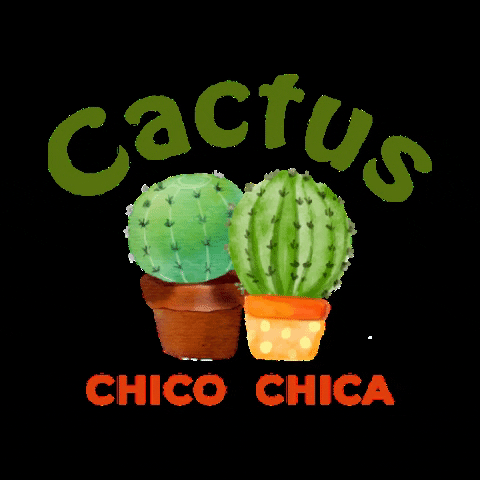 Cactus GIF by CactusChicoChica