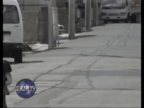 CelebrityPets giphyupload penguin GIF