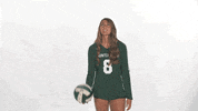 Huntington University Hu GIF by FDN Sports