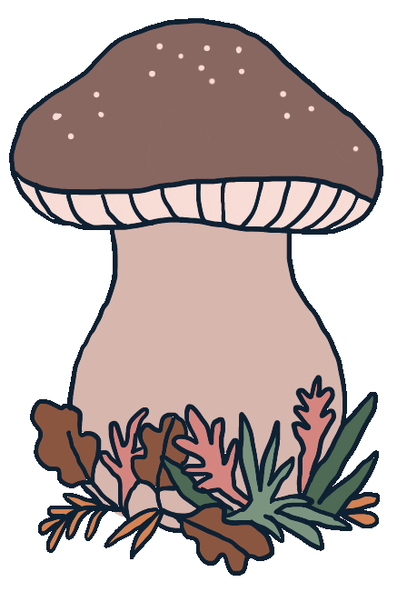 Fall Autumn Sticker by Marie Boiseau