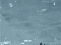 aurora aksnes glassnote music GIF by AURORA