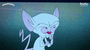 Pinky And The Brain GIF by HULU