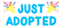 Adopt Animal Rescue Sticker by Brooklyn Cat Cafe
