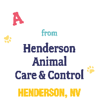Animal Control Cat Sticker by City of Henderson