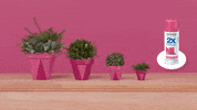 Pink Summer GIF by rustoleum