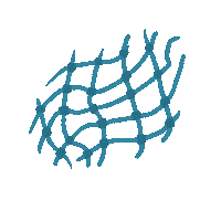 Sea Turtle Sticker by Olive Ridley Project