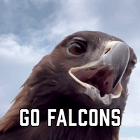 Go Falcons