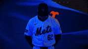 Baseball Mlb GIF by New York Mets