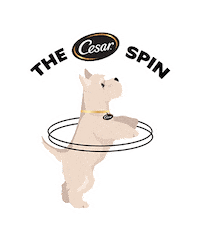 Cesardogfood Sticker by Cesar Canine Cuisine