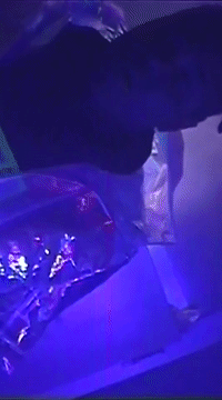 wait vory GIF by Chantel Jeffries