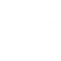 sorry i love you Sticker by Vacation Forever