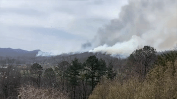 Wildfire Spreads to 1,000 Acres in Tennessee's Sevier County