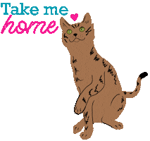 Adopt Tabby Cat Sticker by HeARTs Speak