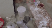 shao lin zu qiu GIF