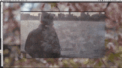 music video burn like the sun GIF by Modern Whale