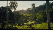 Punk Rock Love GIF by Los Frikis Movie