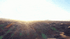 JHUAPL nasa desert dragonfly jhuapl GIF