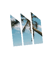 agentoahu real estate sign hawaii realty Sticker
