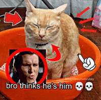 Sigma Cat Meme GIF