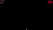 football GIF by CUCougars