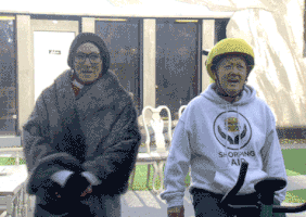 bbuk big brother reality tv cbb celebrity big brother GIF
