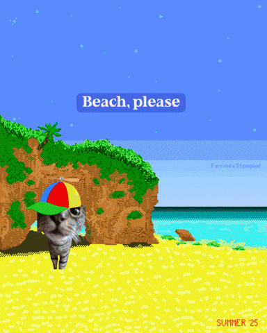 Cat Meme Beach Vibe GIF by Furrend