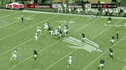 utsa roadrunners football GIF by UTSA Athletics