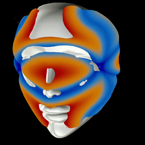 Fashion Augment GIF by Aleksey Efremov