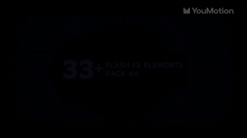 Flash Creative Motion Assets