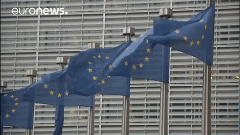 european union flag GIF by euronews