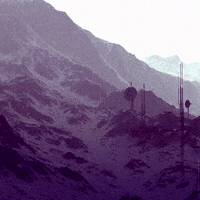 charlos_  GIF