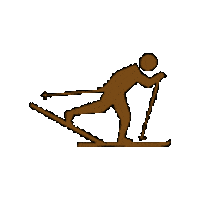 teamampl winter skiing recreation winter sports Sticker